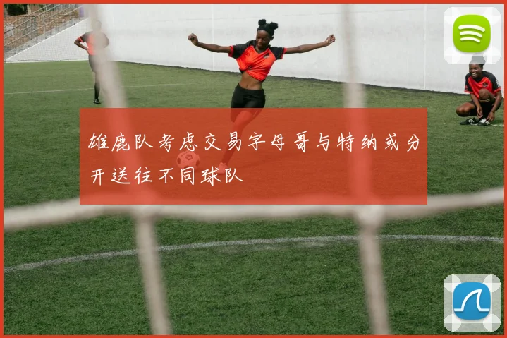 雄鹿队考虑交易字母哥与特纳或分开送往不同球队