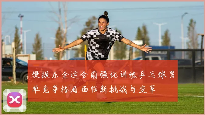 樊振东全运会前强化训练乒乓球男单竞争格局面临新挑战与变革