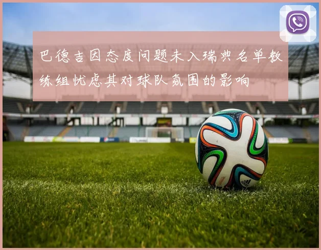 巴德吉因态度问题未入瑞典名单教练组忧虑其对球队氛围的影响