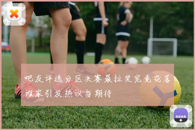吧友评选分区决赛最拉奖究竟花落谁家引发热议与期待